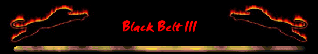 Black Belt III