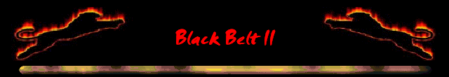 Black Belt II