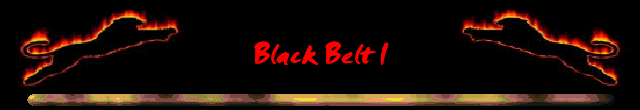 Black Belt I