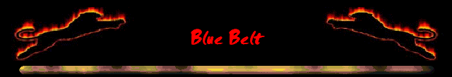 Blue Belt