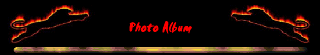 Photo Album
