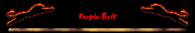Purple Belt