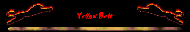 Yellow Belt